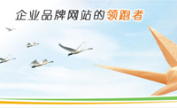長沙網(wǎng)站建設(shè)網(wǎng)站設(shè)計成功要素之一