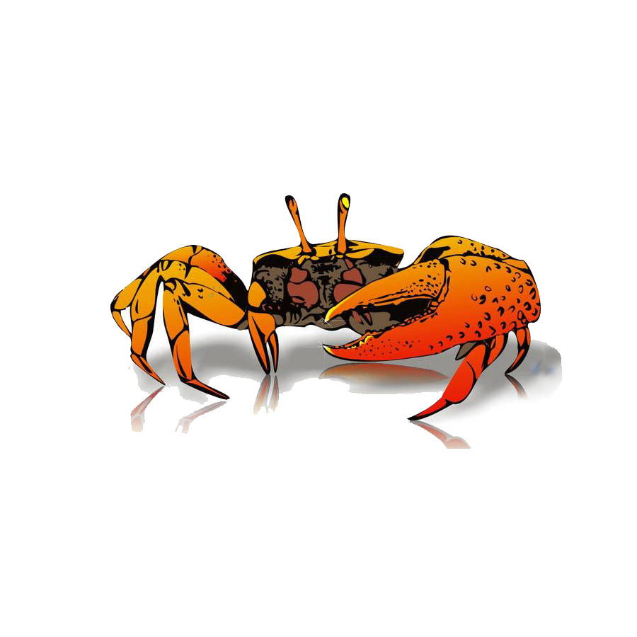 互聯(lián)網(wǎng)+養(yǎng)老產(chǎn)業(yè)，競(jìng)網(wǎng)建站剝蟹有何招？