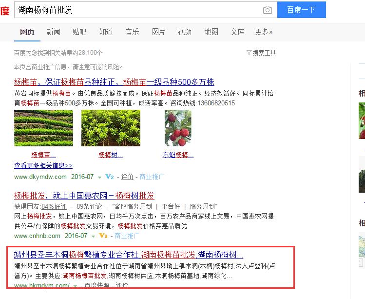 這樣做seo，靖州楊梅網(wǎng)站排名有盼頭