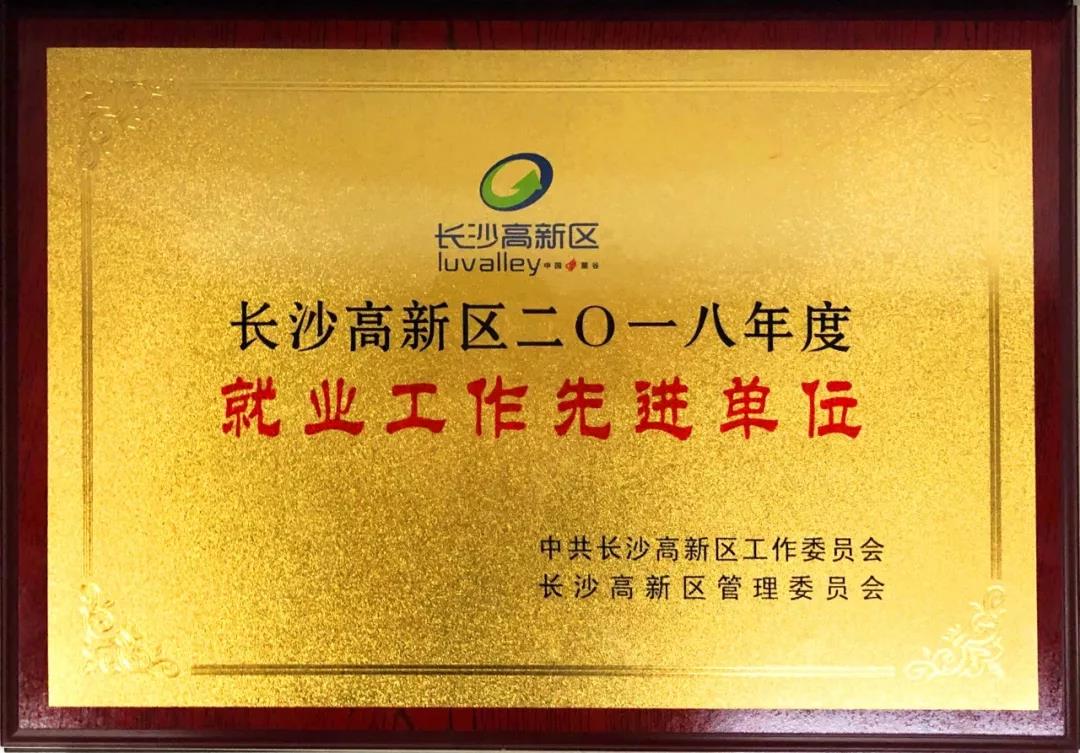 競網(wǎng)獲長沙高新區(qū)2018年度“就業(yè)工作先進單位”稱號！